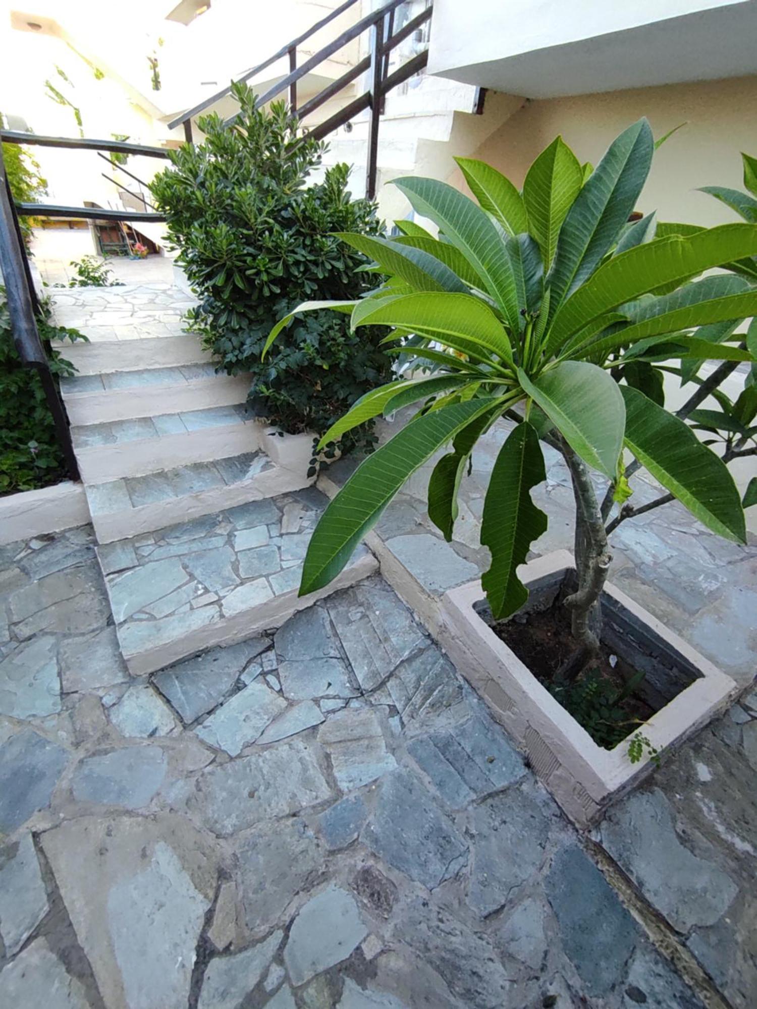 Dedalos N3 Sea View Apartment-30 Metres From The Beach Stalida Exterior photo