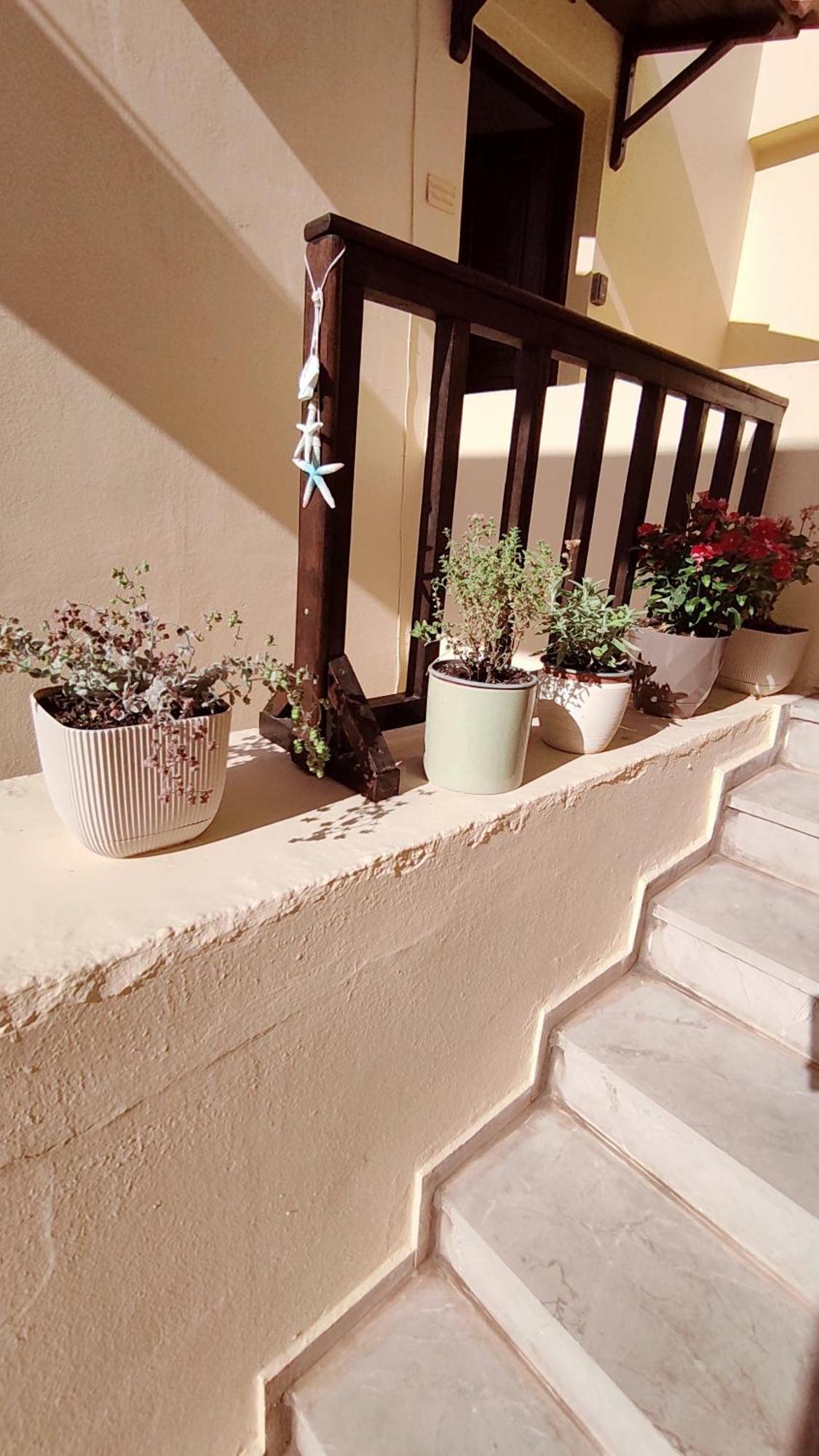 Dedalos N3 Sea View Apartment-30 Metres From The Beach Stalida Exterior photo